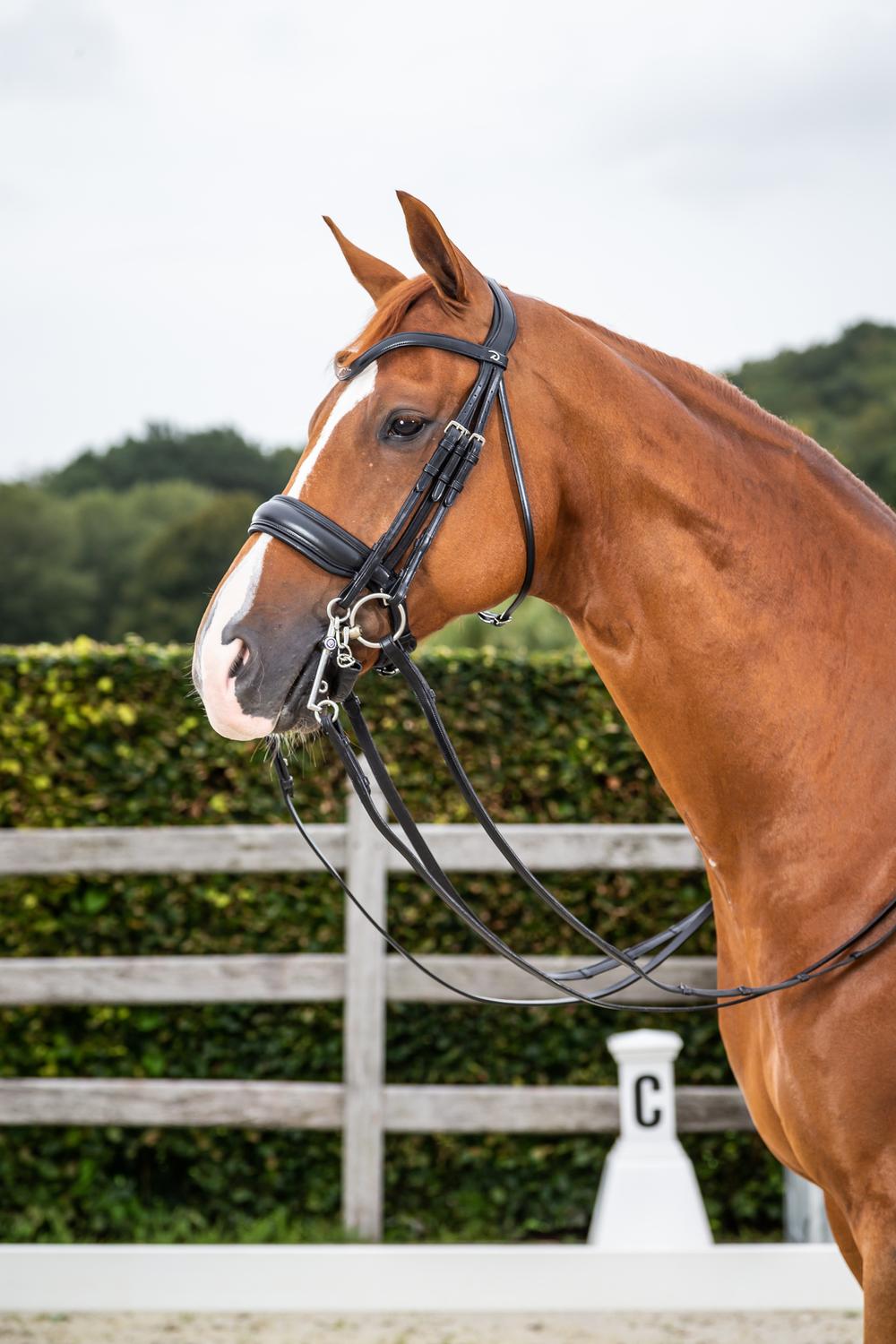 Matte Large Crank Noseband Double Bridle | Black | COB | NEECARBLC ...