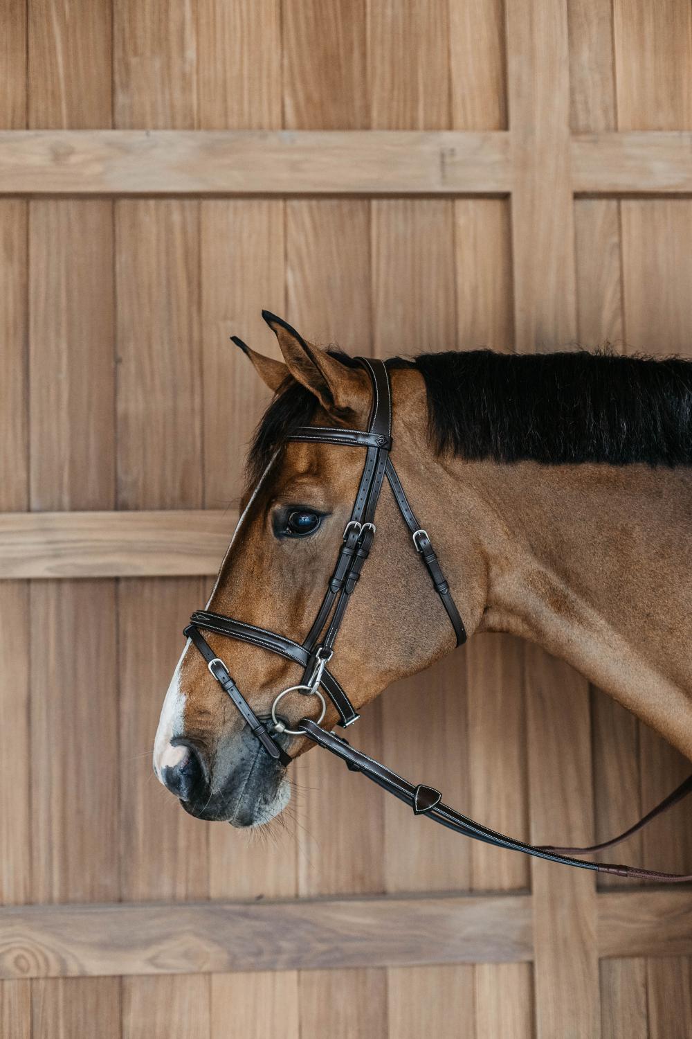 Flash Noseband Bridle with Snap Cheekpieces