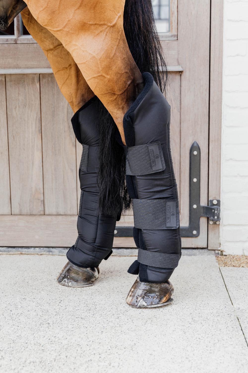 Stable Boots PROtect Long Hind