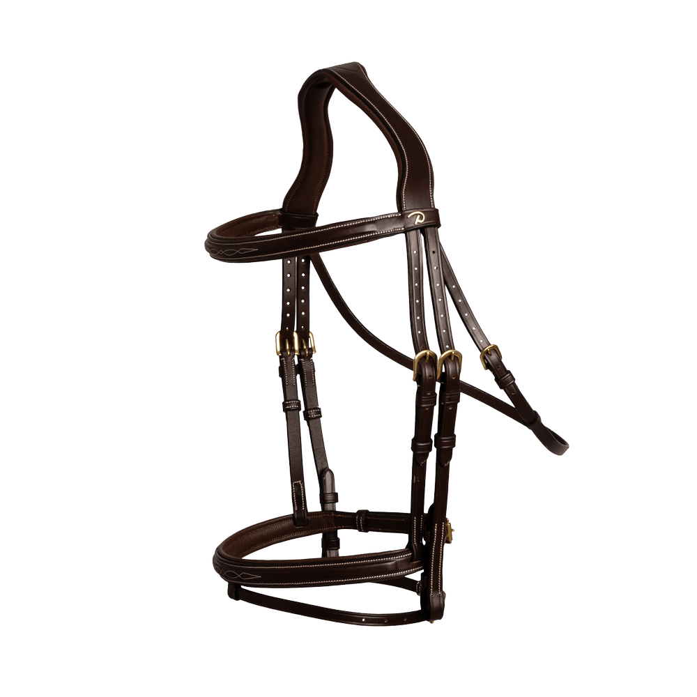 Flash Noseband Bridle