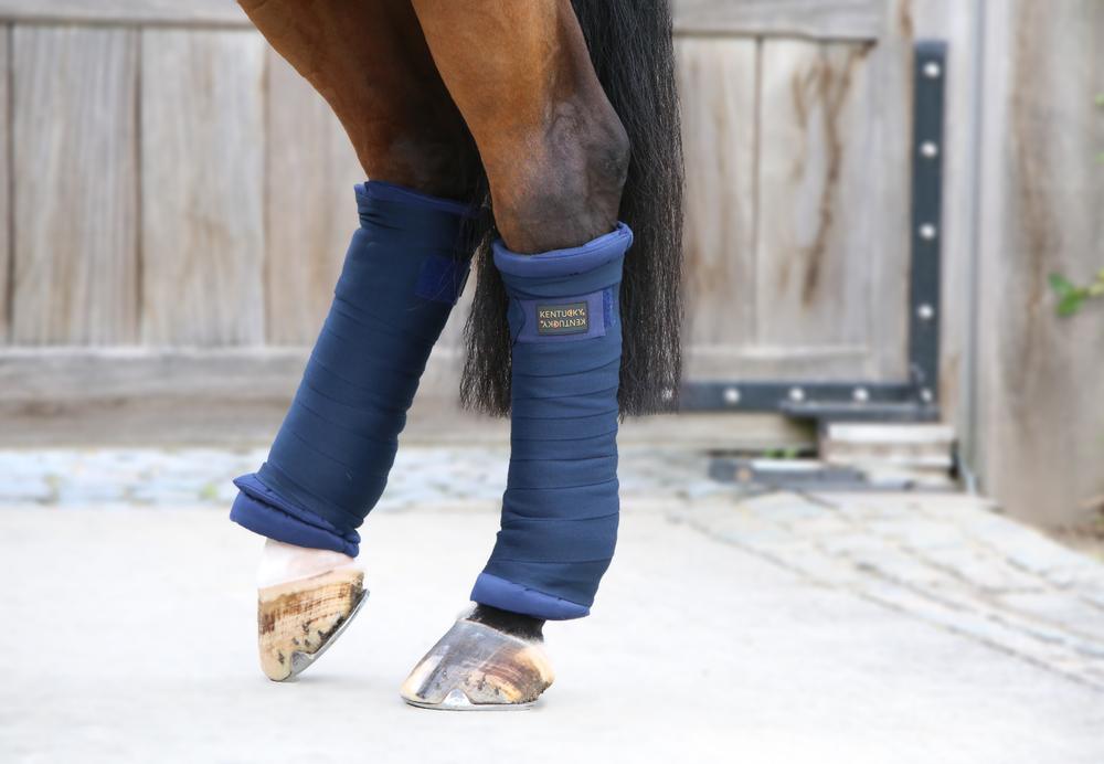 Stable Bandages Pads
